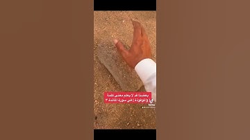 بعضنا قد لا يعلم معنى كلمة ( والموقوذة ) في سورة المائدة ٣