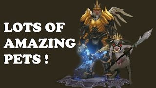 Searching For Awesome Pets In Diablo 3 Best Collection Vincekasgaming