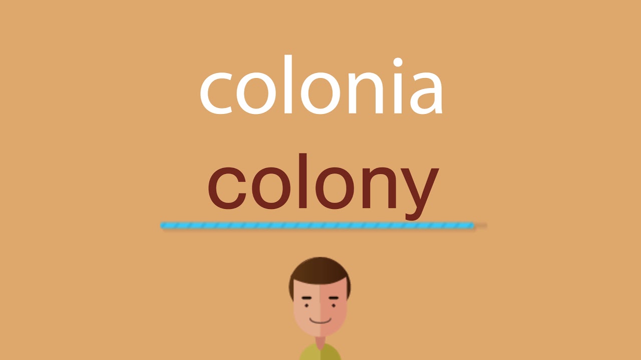Como Se Dice Rodilla En Inglés