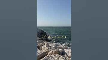سورة الجمعة (٩) - القارئ ياسر الدوسري🍃.