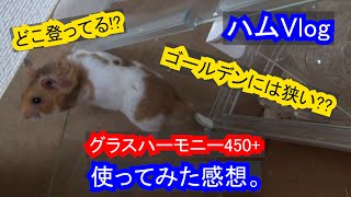 【大脱走】グラスハーモニー450プラス実際使ってみた感想【ハムスターケージ】