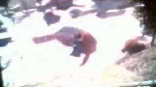 Skate 2 Hall of Meat (ouch)
