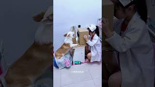 Smart Dog Helped Owner be Doctor😊