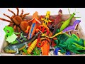 [Toy asmr] A Box Full of Reptile and Insect Toys Collection | Satisfying With Unboxing | No Talking