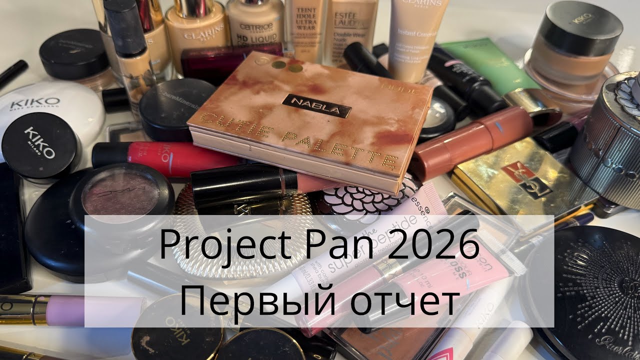 Первый отчет по проекту project pan 