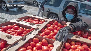 How the SA Food Bank stepped up, rebounded from the 2021 February freeze
