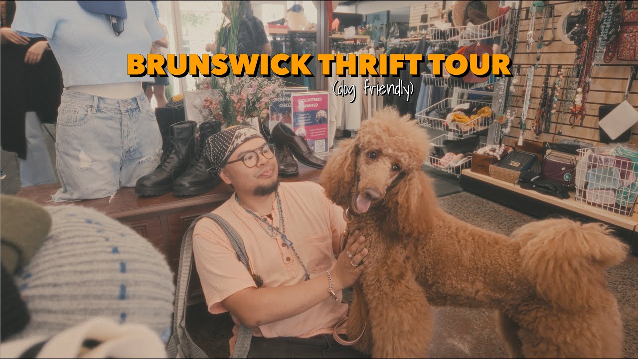 Экономия на работе | Спокойный рабочий день в самом уютном пригороде Мельбурна