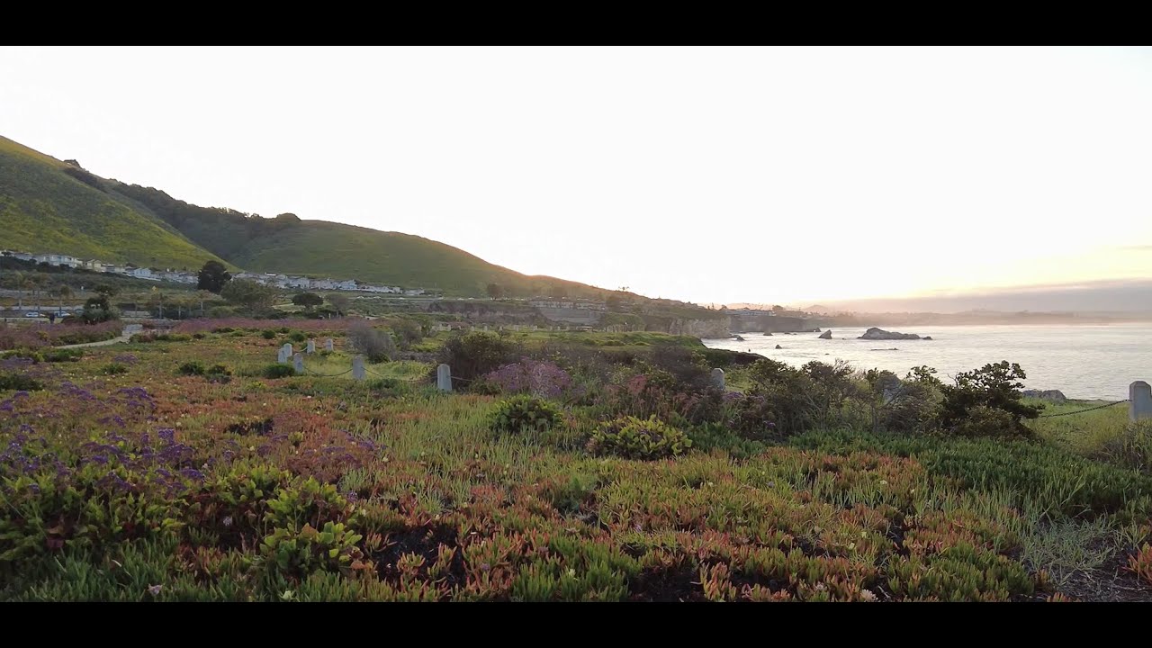 4K Dinosaur Caves Park - Pismo Beach, California