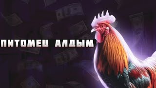 Қораз сатып алдым 🤣 (жаңа обнова) | Live Russia crmp