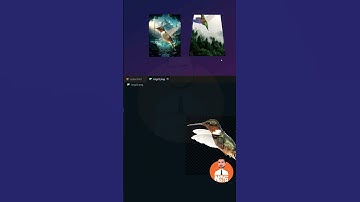 3D Bird Flaying HTML,CSS,JS  by Naiyan Noor  #coding  #naiyannoor #html  #css #webdevelopment #code