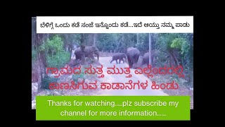 ನಮ್ಮ ಗೋಳು ಕೇಳುವವರೇ ಇಲ್ಲದಂತಾಗಿದೆ...ದಿನೆ ದಿನೇ ಹೆಚ್ಚುತ್ತಿರುವ ಕಾಡಾನೆಗಳ ಹಾವಳಿ...