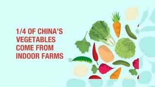 China's Indoor Agriculture Industry