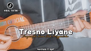 Pengarepku kowe oleh penggantiku sing luwih sayang ( TRESNO LIYANE ) Cover Ukulele By Amrii Official
