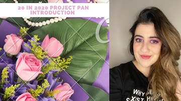 Project pan intro 20 in 2020