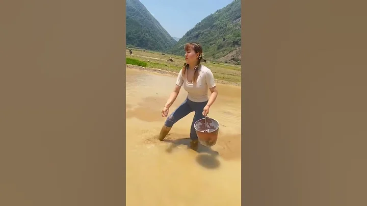 「人生如同耕種，順時而為，努力勞作，方能收穫累累碩果，付出了汗水，才能深刻感受到粒粒皆辛苦」#插秧季節 #一份辛苦一份收穫這就是農民真實生活 #快手幸福鄉村帶頭人 快手 - 天天要聞