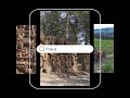 KWA Logging Insurance #logginglife #bluecollarlogger #forestrywork