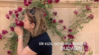 ELİAN BİR KIZIL GONCAYA BENZER DUDAĞIN