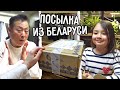 Новые гаджеты для похудения :) Посылка из Беларуси ^^ Пробежка по району / KOREA VLOG /