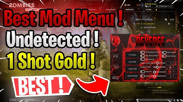 Black Ops Cold War Hacks WORK in 2021 *EASY* (Mod Menu & Max Stats)