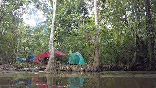 BERMALAM DI PINGGIR SUNGAI HUTAN RAWA, DAN TERJEBAKNYA RAJA BAUNG SAAT AIR KERUH MASUK.. PANEN !!