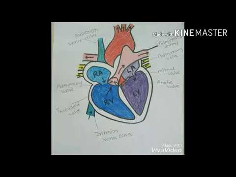 Featured image of post Heart Images Drawing Color / You can edit any of drawings via our online image editor before downloading.