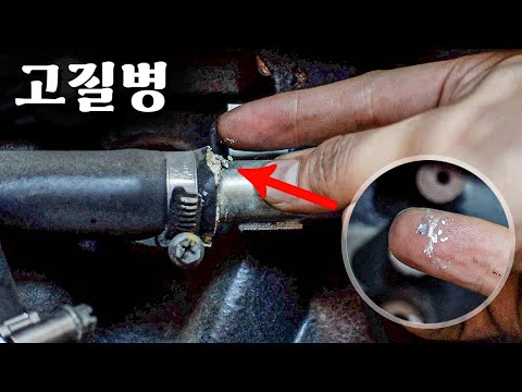 쌍용 <strong>디젤</strong> <strong>차량</strong> 고질병!
