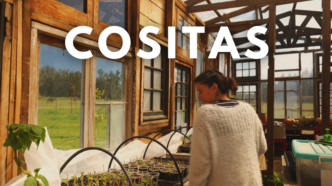 Cositas | Siembras y Primavera en nuestro Huerto