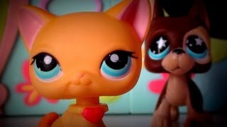 Lps: More Than That (Season 2- Part 4) [11] {Getting Settled}
