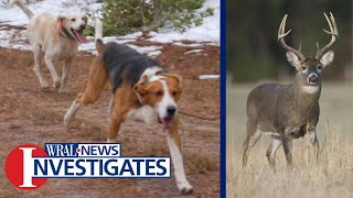 Deer, dogs, hunters and landowners; Tensions rising between NC landowners and deer hunters with dogs