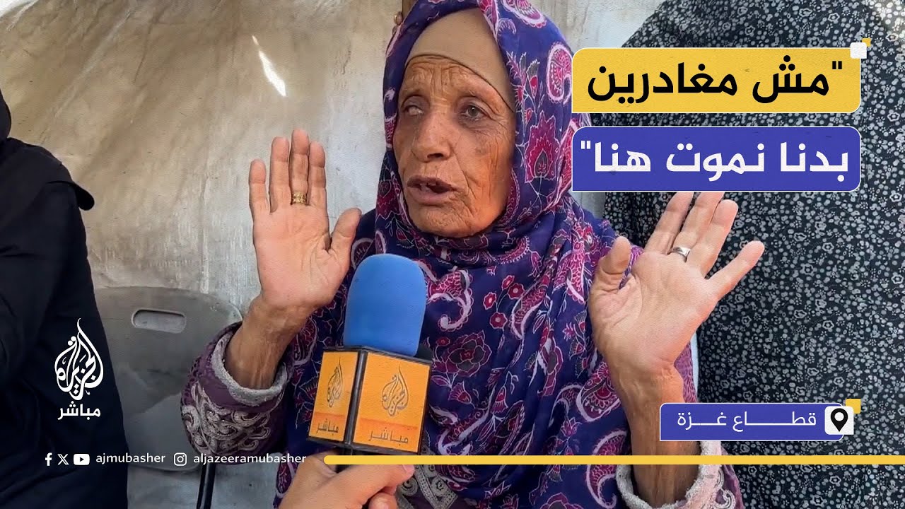 نازحة مسنة: يا جماعة الرأفة بالحيوان فين حقوق الإنسان؟