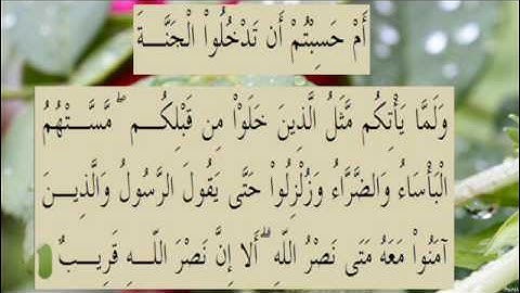 القران الكريم سورة البقرة الاية  214