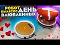 Робот пылесос День влюблённых (20 серия)