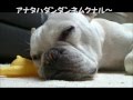フレブルもりおが寝る　おとーさんと寝る　ZZZzzz