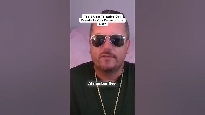 Video 10911951: oriental shorthair, tonkinese, burmese, siamese, cat breed, meow