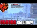 🤩 УРААА!!! ОБНОВА ВЫШЛА на БЛЕК РАША?! ОБЗОР на ГЛОБАЛЬНОЕ ОБНОВЛЕНИЕ BLACK RUSSIA!