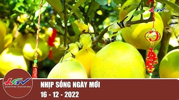 Bưởi Diễn đổ bộ vào Nam đón tết sớm | Truyền hình Hậu Giang | NHỊP SỐNG NGÀY MỚI 18-12-2022