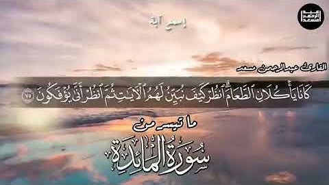عبد الرحمن مسعد | سورة المائدة كاملة