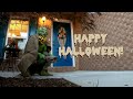 Tricks Before Treats - Part 4 - Halloween 2021