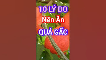 10 Lý Do Nên Quả Gấc Thường Xuyên #dinhduong #health #suckhoe