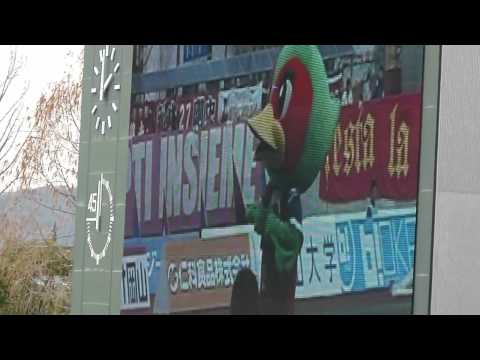踊るファジ丸　ＡＫＢカチューシャ