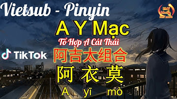 [Vietsub + Pinyin] A Y Mạc - Tổ Hợp A Cát Thái | 阿衣莫 - 阿吉太组合 | Nhạc Hoa Hot Douyin Tiktok 2022