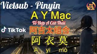 [Vietsub   Pinyin] A Y Mạc - Tổ Hợp A Cát Thái | 阿衣莫 - 阿吉太组合 | Nhạc Hoa Hot Douyin Tiktok 2022