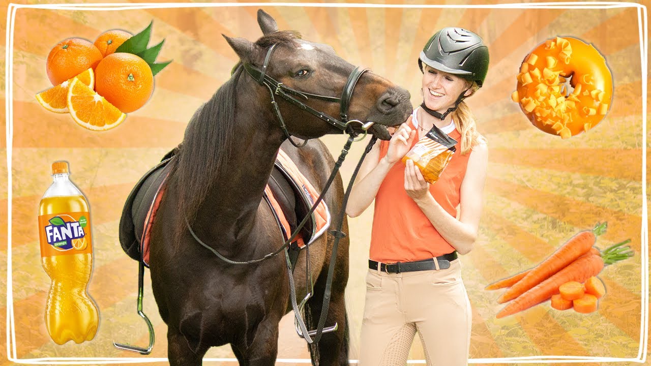 1 DAG alleen maar ORANJE VOEDSEL ETEN MET MIJN PAARD EN KONIJN! 😱 | Daphne draaft door
