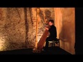 Franz Liszt - Hungarian Rhapsodie No.2 - Sylvain Blassel, harp