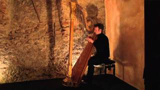 Franz Liszt  Hungarian Rhapsodie No.2  Sylvain Blassel, harp