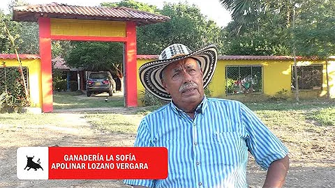 Ganadera La Sofa - Apolinar Lozano Vergara