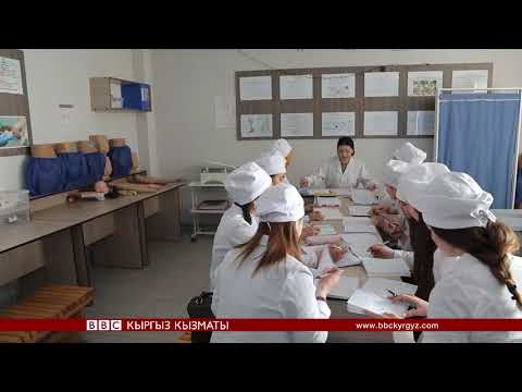 Video: Ветеринардык онкологиялык дарылоону сыноо жолу менен илгерилетүү