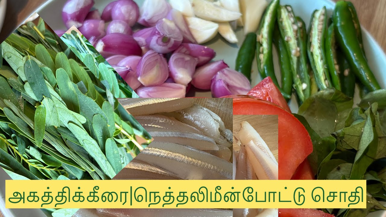 மீன் போட்டு அகத்திக்கீரை சொதி #tamil#cooking #video #viral #fyp #londonthatha