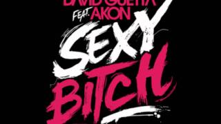 David Guetta Vs. Chuckie (feat. Akon & Lil Jon) - Where them Sexy Bitch At (DJ Are Bee Bootleg) Resimi