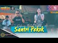 DIFARINA Ft CAK FENDIK - SANTRI PEKOK (LIVE ADELLA X CUMI CUMI AUDIO) || PEMUDA CURAHJATI BERSATU